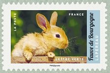 Image du timbre Lapereau  - Fauve de Bourgogne