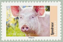 Image du timbre Porcelet  - Landrace 