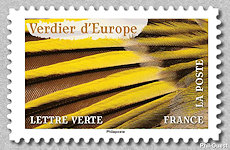 Image du timbre Verdier d'Europe
