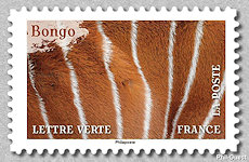 Image du timbre Bongo