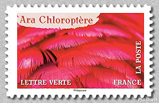 Image du timbre Ara chloroptère