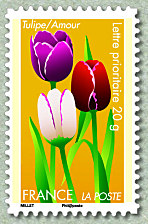 Tulipe/ Amour