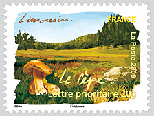 Limousin - Le cèpe