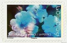 Image du timbre La rose en bouton