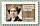 Le timbre d’Alexandra David-Néel  de 2022