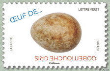 Image du timbre Gobemouche gris