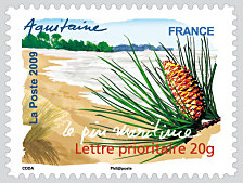 Aquitaine - Le pin maritime