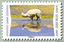 Image du timbre Lama