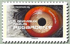 Image du timbre Gypaète barbu