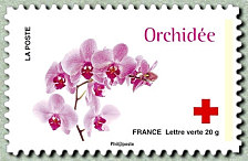 CRF_Orchidee_2014