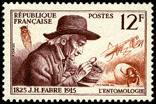 Jean-Henri Fabre 1823-1915<br />L´entomologie
