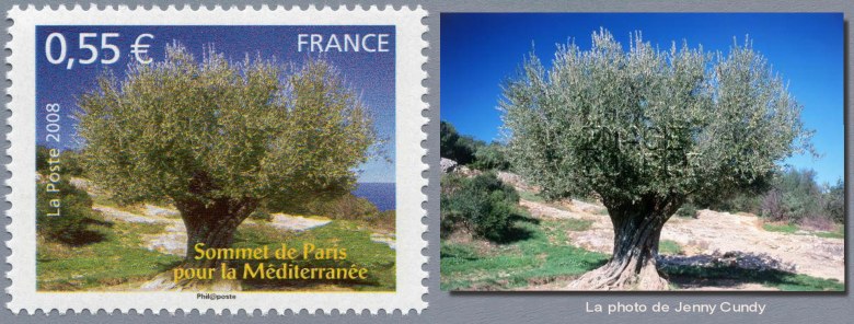 Comparasion du timbre avec la photo de l'olivier millénaire du Pont du Gard