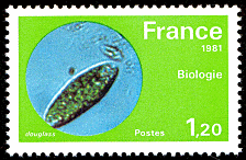 Image du timbre Biologie - Micro-organisme