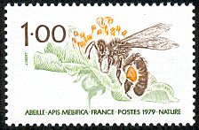 Image du timbre Abeille - Apis mellifica