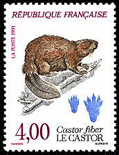 Image du timbre Le castor - castor fiber