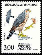 Image du timbre Epervier d'Europe - Accipiter N. Nissus