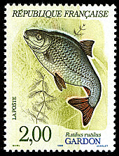 Image du timbre Gardon  - Rutilus rutilus
