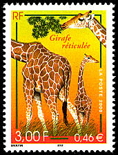Image du timbre Girafe réticulée