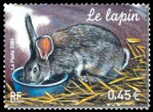 Image du timbre Le lapin