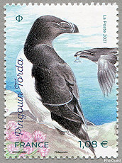 Image du timbre Pingouin torda