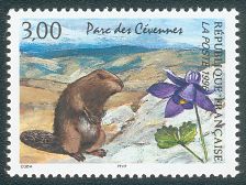 Image du timbre Parc des Cévennes
-
La marmotte et l'ancolie