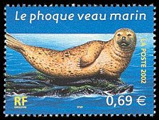 Le phoque veau marin
