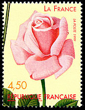 Rose «La France» 1867