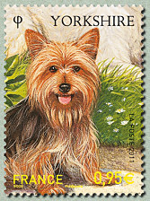 Image du timbre Yorkshire