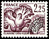 Clavaire chou-fleur