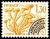 Image du timbre Pleurote de l'olivier